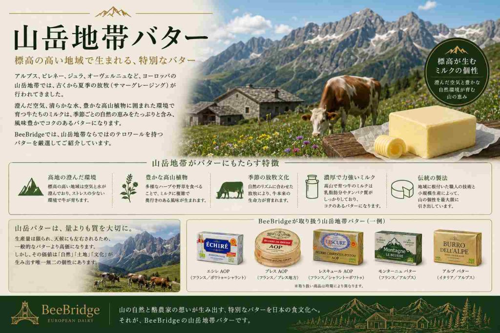 山岳地帯バター
アルプス山脈周辺では、平野部とは異なる酪農文化が発展してきました。
夏になると牛を高地へ移動させる伝統的な放牧が現在も続いている地域があり、その文化はチーズだけでなくバターにも受け継がれています。サヴォワやオーヴェルニュなどは、その代表的な産地です。多くの有名チーズ産地は、同時に優れたバター産地でもあります。